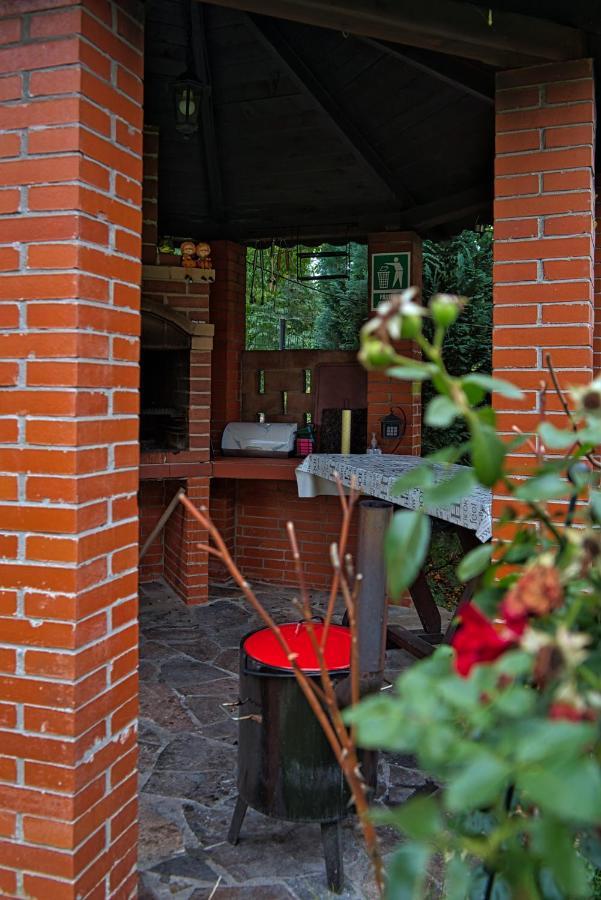 Pensiunea Mara *** Borsa  Exterior photo