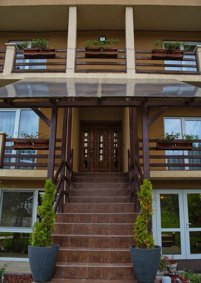 Pensiunea Mara *** Borsa  Exterior photo